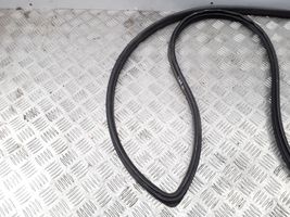 Honda CR-Z Front door rubber seal 