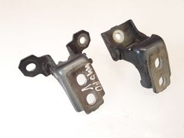 Renault Megane III Front door hinges set 80400011RE