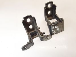 Renault Megane III Front door hinges set 80400011RE