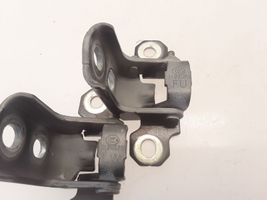 Renault Latitude (L70) Front door hinge set I120073