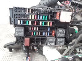 Renault Latitude (L70) Other wiring loom 240142135R