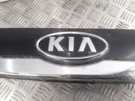 KIA Carnival Éclairage de plaque d'immatriculation 