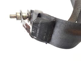 Honda Shuttle Ceinture de sécurité avant TKA74EJ274