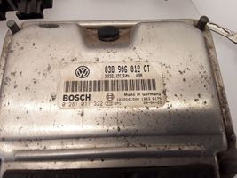 Volkswagen Lupo Moottorinohjausyksikön sarja ja lukkosarja 0281011322