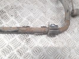 Citroen C6 Tylny stabilizator / drążek 9658402480