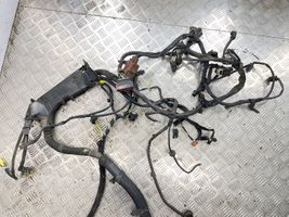 Citroen C6 Otros cableados 9655438280