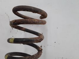 Hyundai Sonata Rear coil spring VEI11060