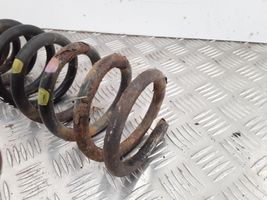 Hyundai Sonata Rear coil spring VEI11060