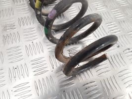 Hyundai Sonata Rear coil spring 81605