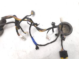 Hyundai Sonata Front door wiring loom 919803K040