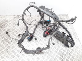 KIA Carnival Faisceau de câblage pour moteur 20071208