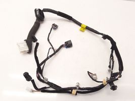 KIA Carnival Cableado de puerta delantera 916104D091