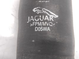 Jaguar XJ X350 Välijäähdyttimen letku DO5WA