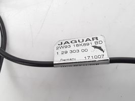 Jaguar XJ X350 Radio antena 2W9318K891BD