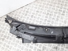 Citroen C3 Pluriel Moldura del limpia 9645019877