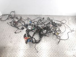 Renault Captur Other wiring loom 282436693R