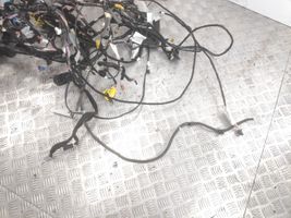 Renault Captur Other wiring loom 282436693R