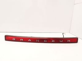 Hyundai Grandeur Trunk door license plate light bar 873603L000