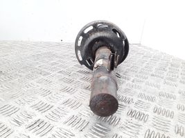 Citroen C3 Front shock absorber with coil spring 9672655880