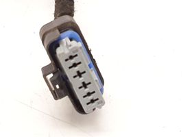 Citroen C3 Cableado de puerta trasera 9689005080