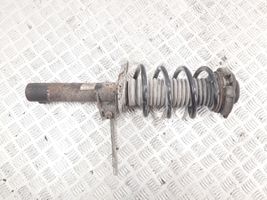 Seat Toledo III (5P) Front shock absorber with coil spring 