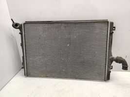 Seat Toledo III (5P) Radiateur de refroidissement 1K0121251