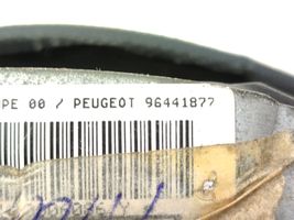 Peugeot 1007 Airbag dello sterzo 96441877