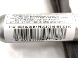 Peugeot 1007 Airbag de toit 9655837880