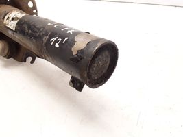 Volkswagen PASSAT CC Front shock absorber/damper 3C0413031D