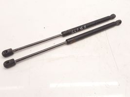 Renault Megane II Tailgate/trunk strut/damper 8200051750