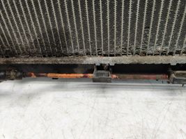 Hyundai Santa Fe Coolant radiator 