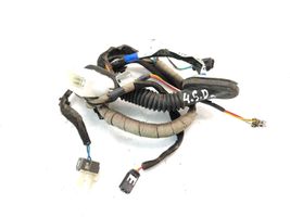 KIA Sorento Rear door wiring loom 918203E011