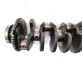 Hyundai Santa Fe Crankshaft 