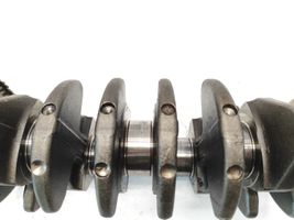 Hyundai Santa Fe Crankshaft 