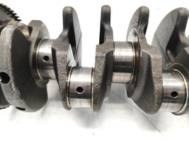 Hyundai Santa Fe Crankshaft 