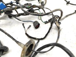 Ford Focus Tailgate/trunk wiring harness 98AG14405AF