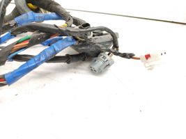 Hyundai Sonata Rear door wiring loom 916603K020