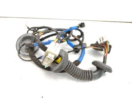 Hyundai Sonata Rear door wiring loom 916603K020