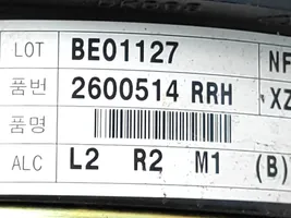 Hyundai Sonata Enceinte de porte arrière 2600514