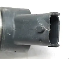 Citroen C5 Inyector de combustible 9637277980