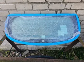 Dacia Sandero Pare-brise vitre arrière 903004646R