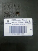Mercedes-Benz S W222 Viršutinė dalis radiatorių panelės (televizoriaus) A2226209801