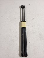 Citroen C3 Tailgate/trunk strut/damper 9639853880