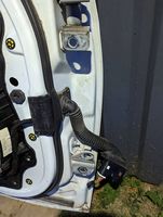 Chrysler Pacifica Front door 