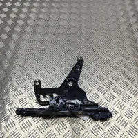 BMW X5 F15 Cerniere del vano motore/cofano 7294529