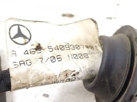 Mercedes-Benz G W461 463 Cablaggio del sensore di parcheggio (PDC) 