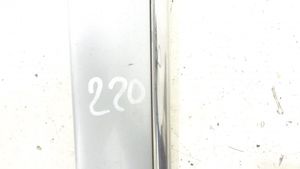 Mercedes-Benz S W220 Priekšpusē durvju dekoratīvā apdare (moldings) 