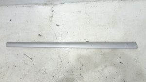 Mercedes-Benz S W220 Front door trim (molding) 