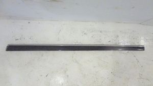 Mercedes-Benz S W220 Front door trim (molding) 