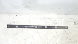 Mercedes-Benz S W220 Front door trim (molding) 